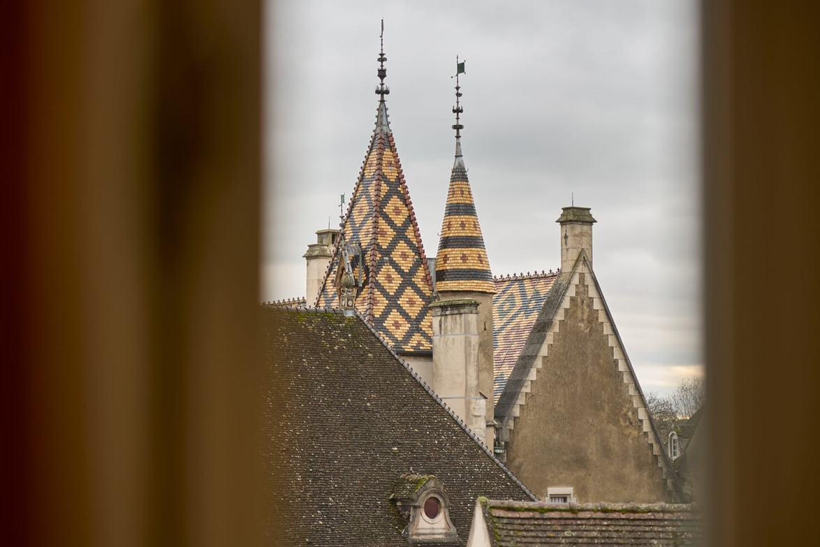 View of patterned roof spires and chimneys on a cloudy day, framed between two blurred foreground elements.