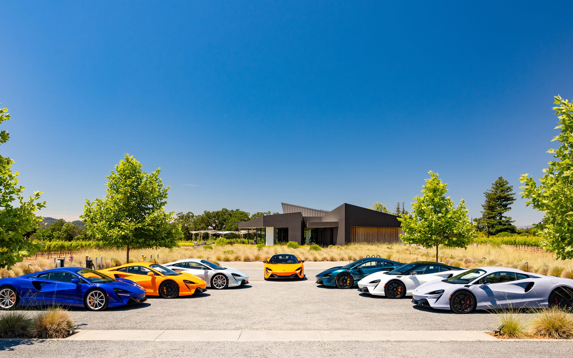 Several colorful supercars parked outdoors in a semi-circle under a clear blue sky with modern building in background.