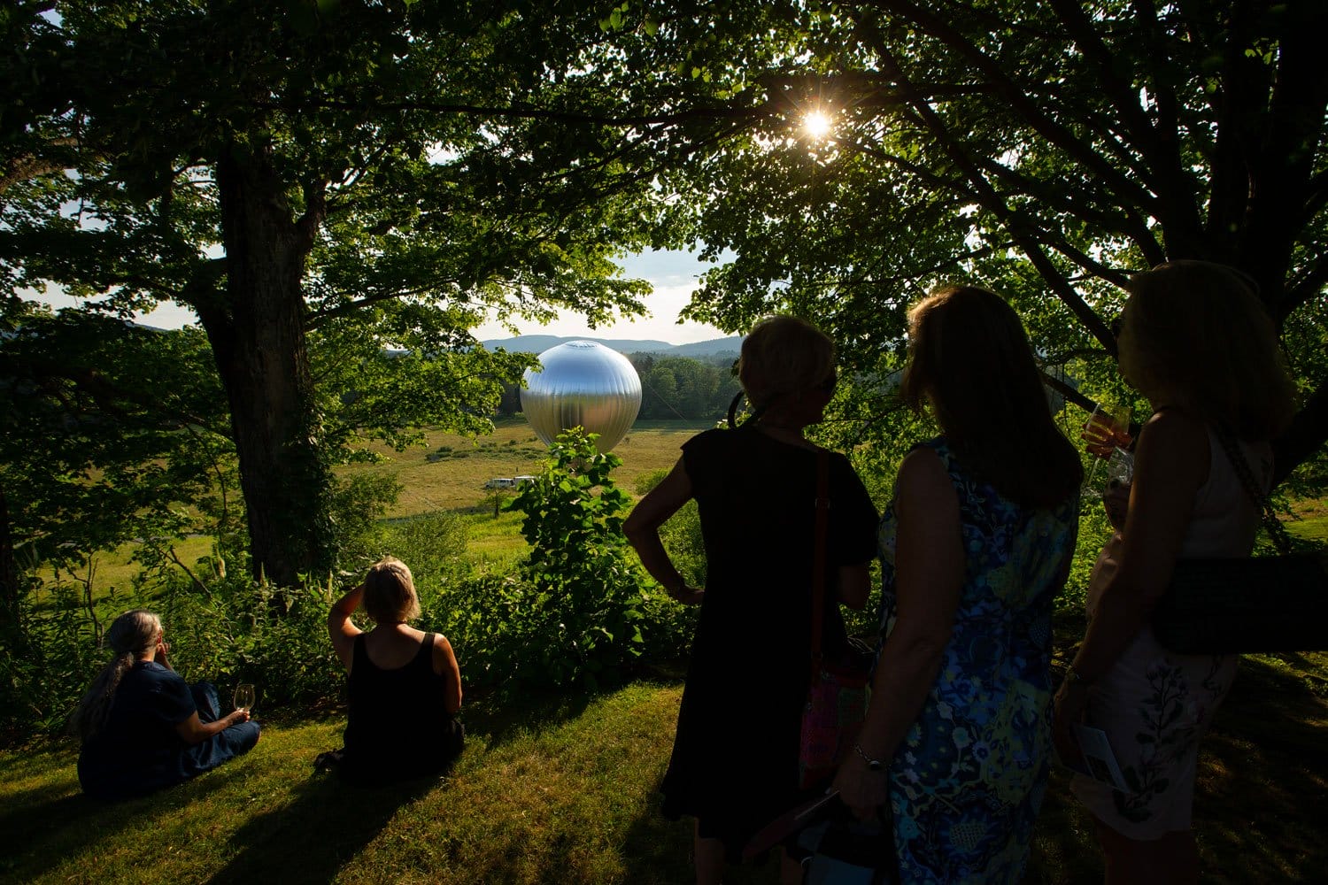 People standing under trees, observing a large silver balloon in a scenic meadow during daylight.