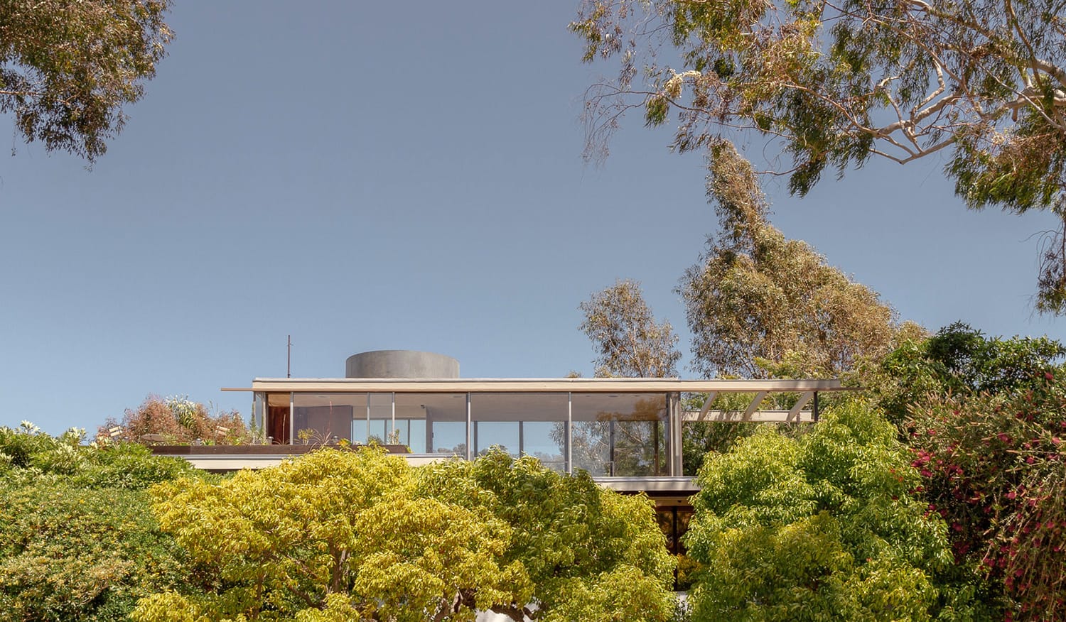 Modern glass house surrounded by lush trees under a clear blue sky.