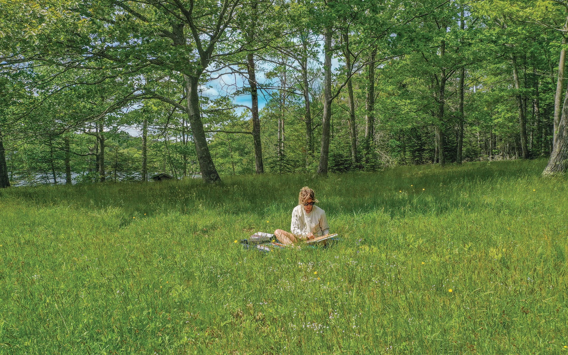 Person sitting on a picnic blanket reading a book in a lush green meadow surrounded by trees on a sunny day