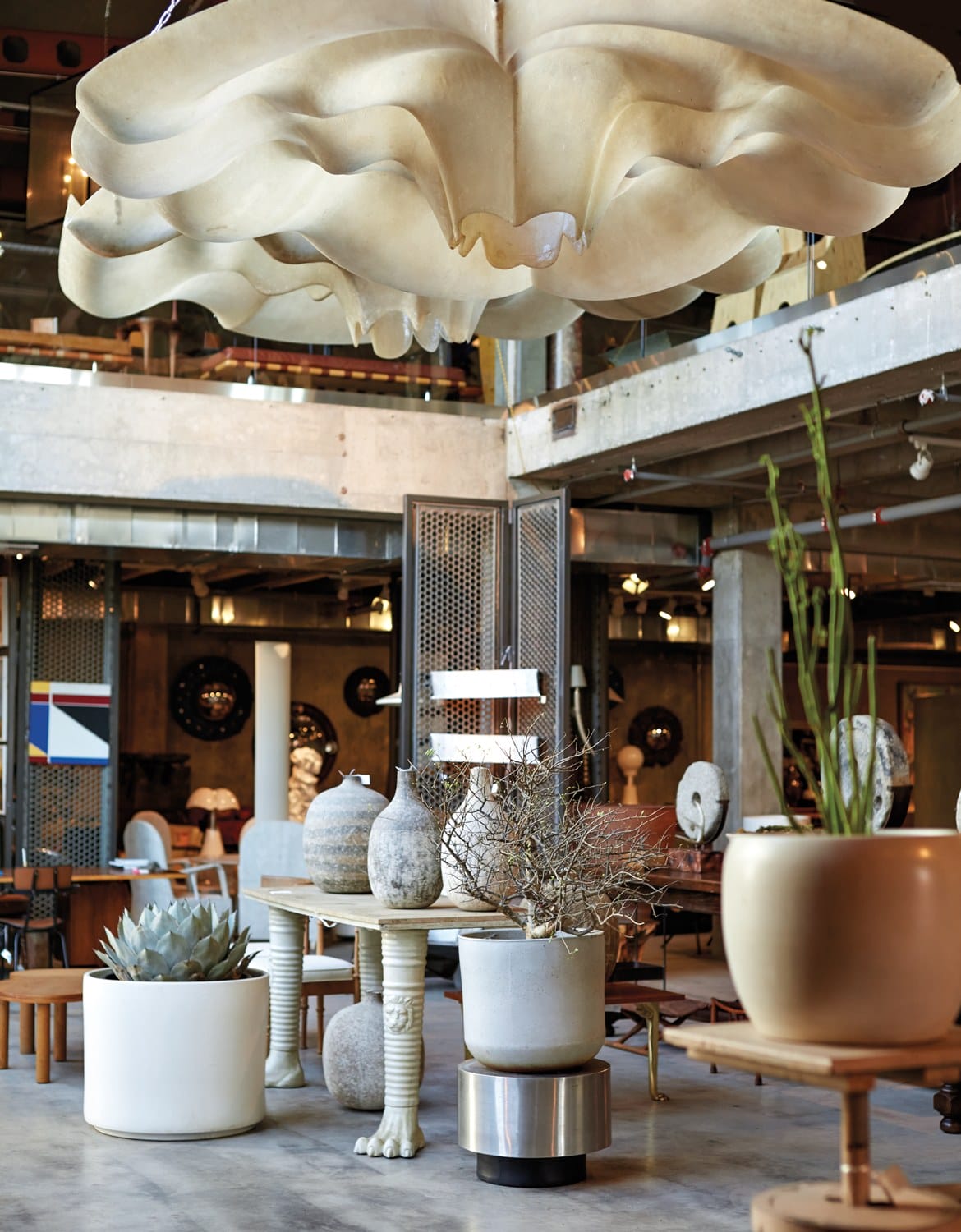 Modern interior design showroom with eclectic furniture, large plants, and a sculptural ceiling light fixture.