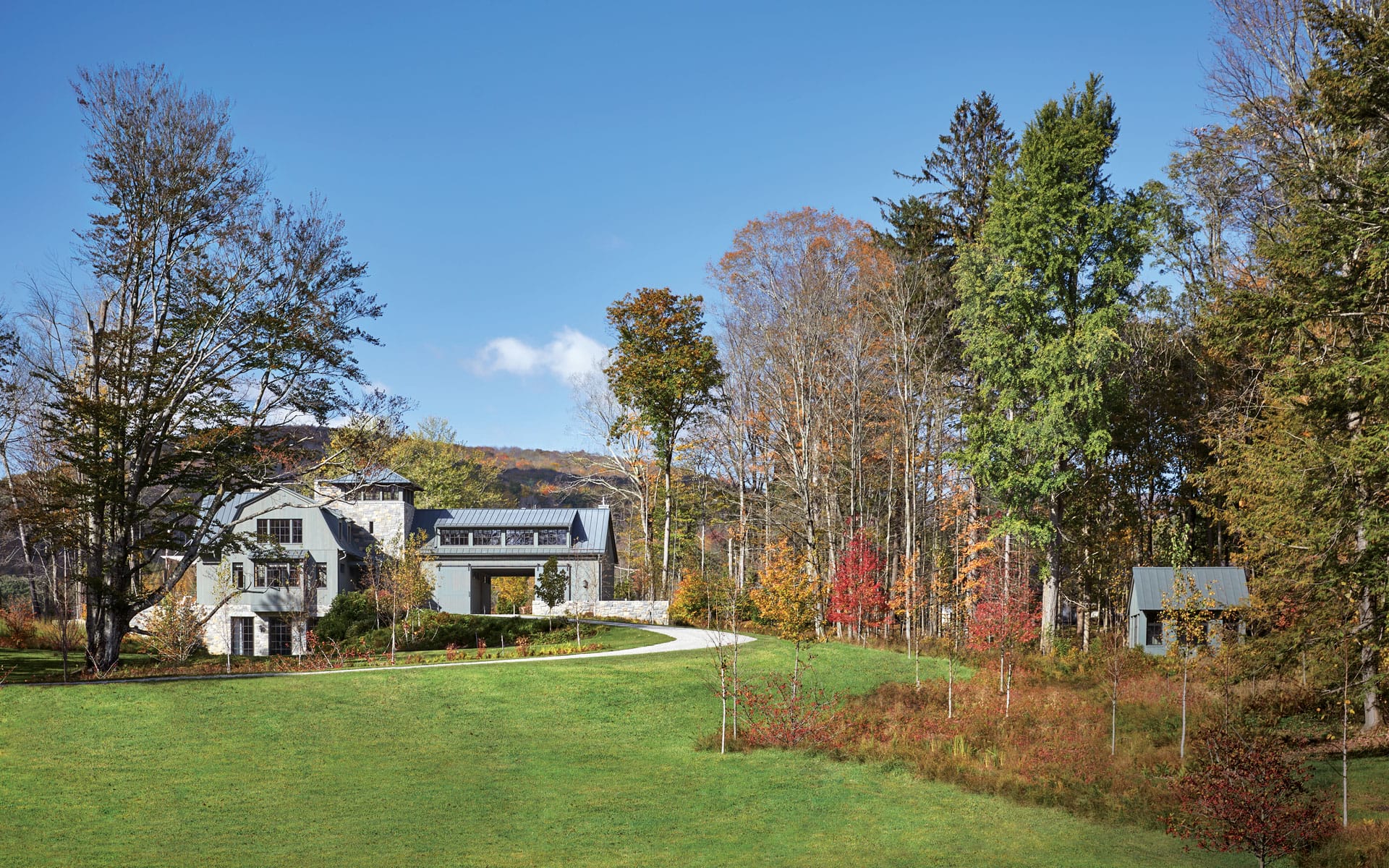 Modern white house surrounded by lush greenery and tall trees with a clear blue sky in the background.