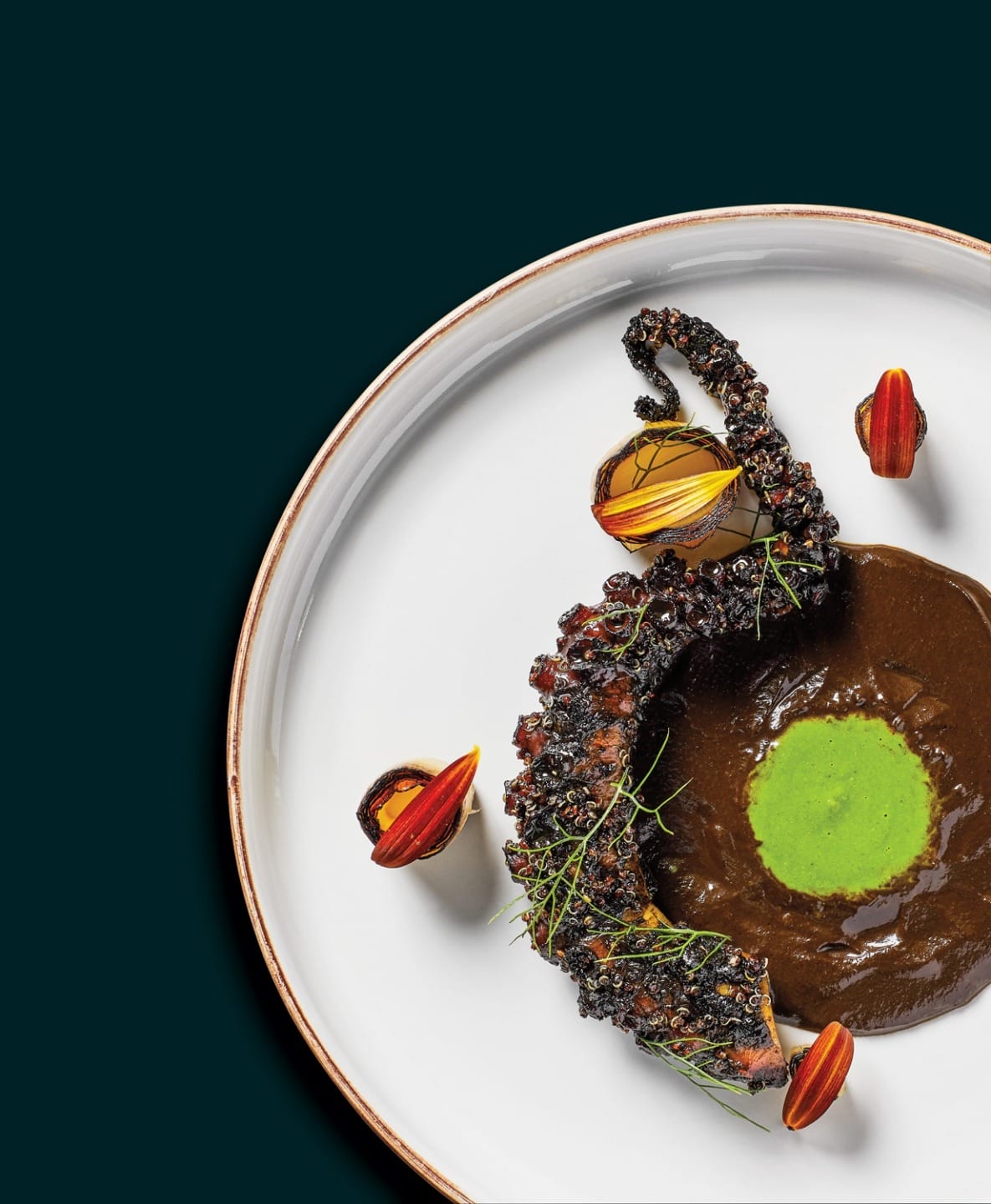 Gourmet dish featuring seared octopus tentacle, dark sauce, green puree, and garnished vegetables on a white plate.