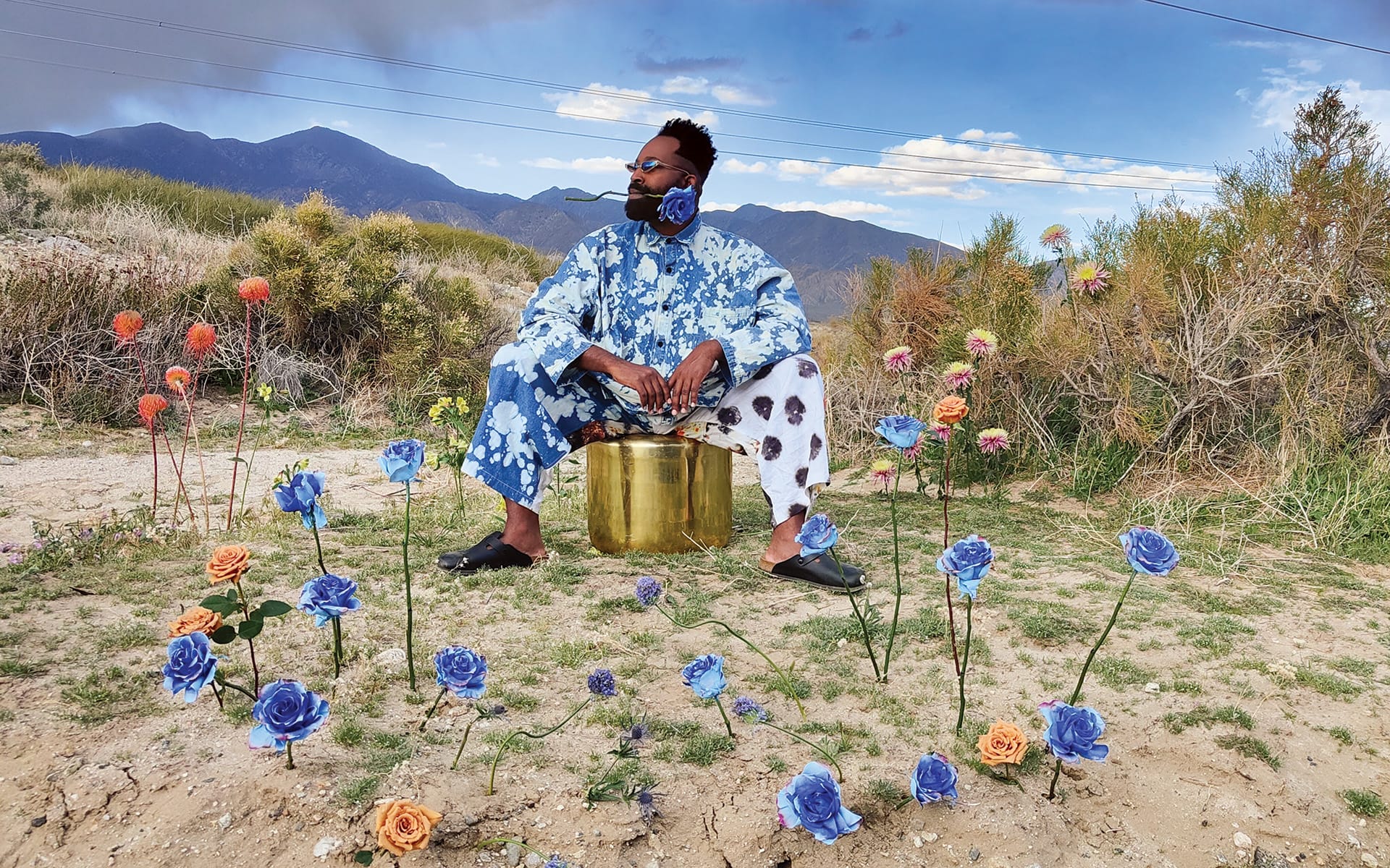 Person in blue floral outfit sitting outdoors among flowers with mountains in the background.