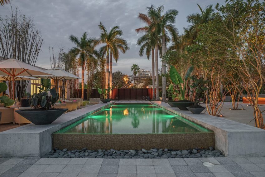 Outdoor pool area at dusk surrounded by palm trees, lounge chairs, and umbrellas.