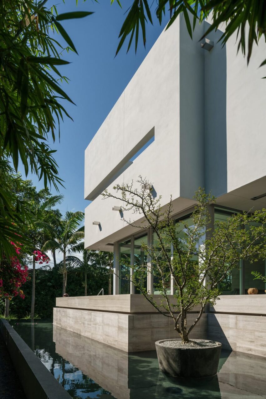 Modern white minimalist building with large windows, surrounded by tropical plants and a small tree in a planter.