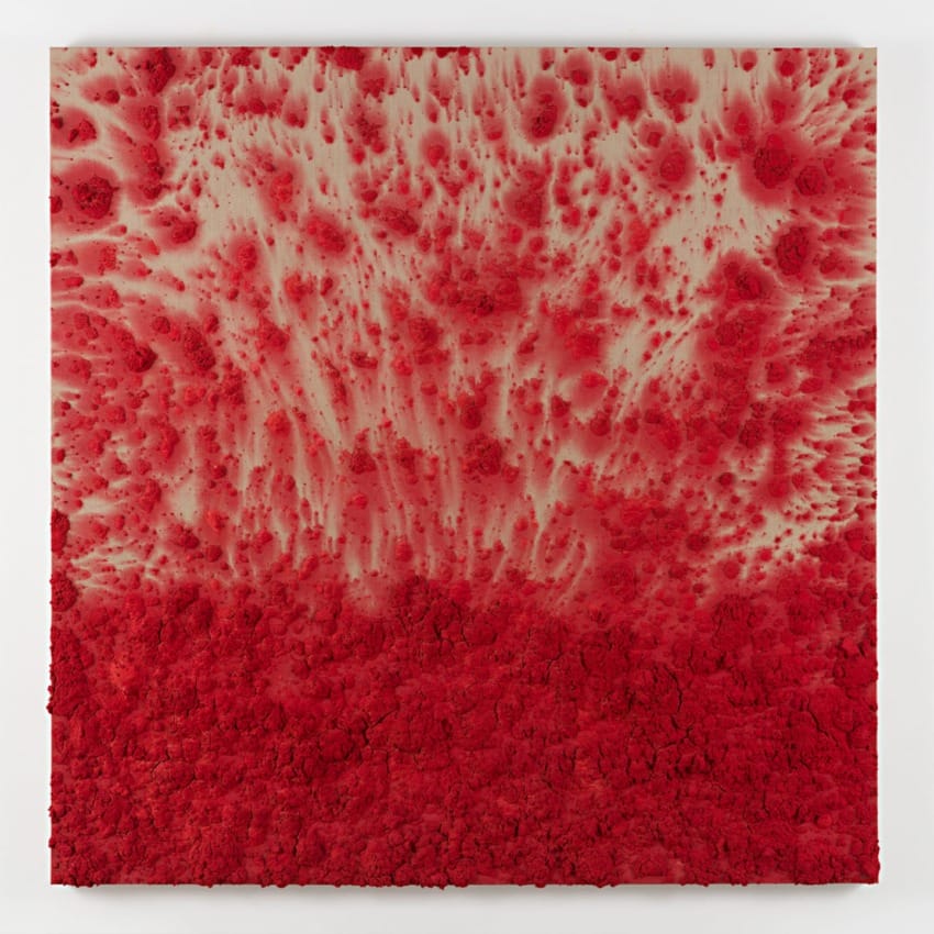 Abstract artwork featuring red textured patterns against a lighter background, resembling organic growth or natural formations.