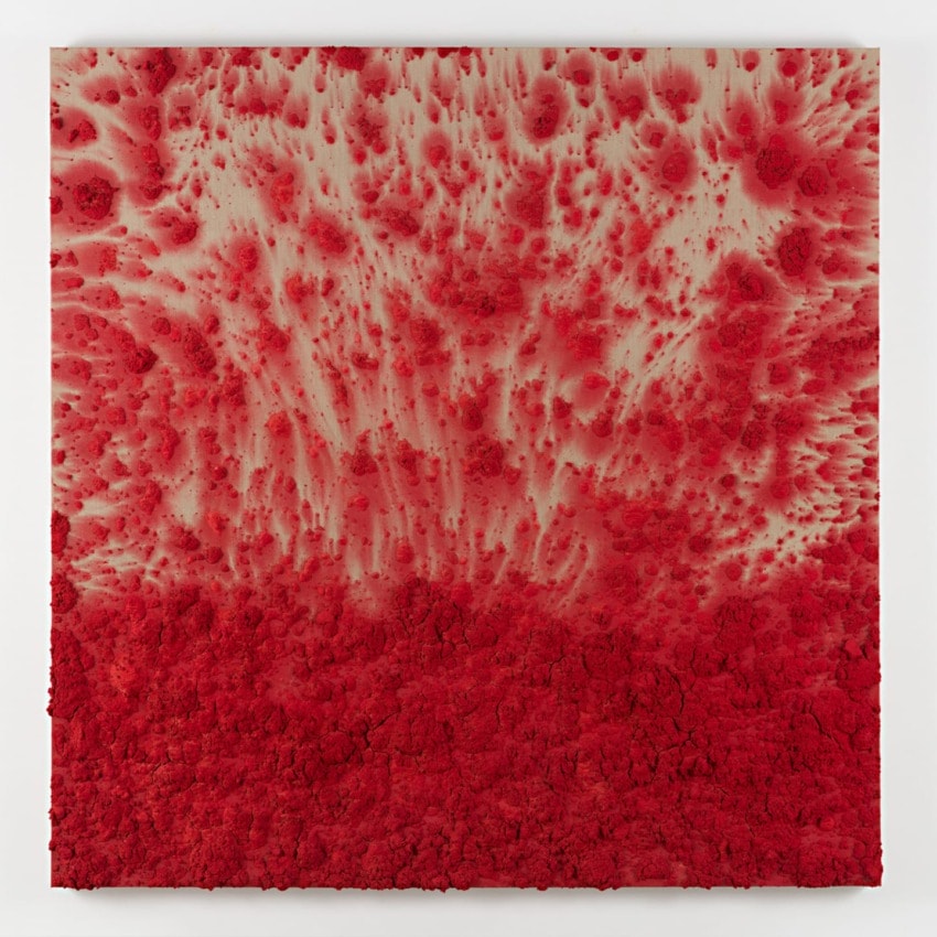 Abstract artwork featuring red textured patterns against a lighter background, resembling organic growth or natural formations.