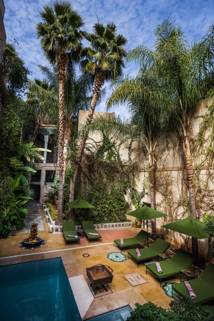 Tropical outdoor courtyard with green lounge chairs, tall palm trees, and a small pool surrounded by lush greenery.