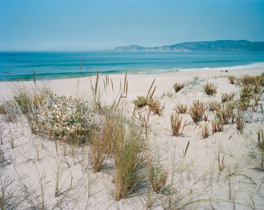 sandy beach with grass and flowers, clear blue sea, distant mountains under a bright sky