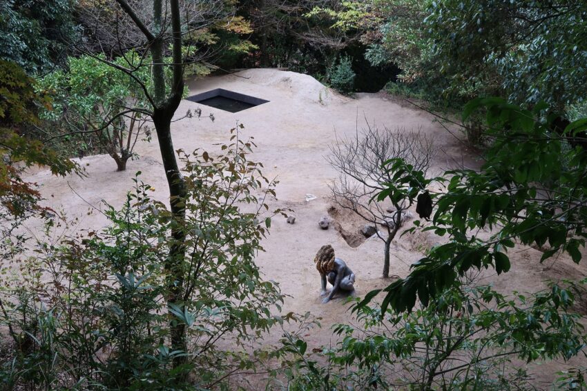 Lions resting in a naturalistic zoo enclosure surrounded by trees and shrubs.