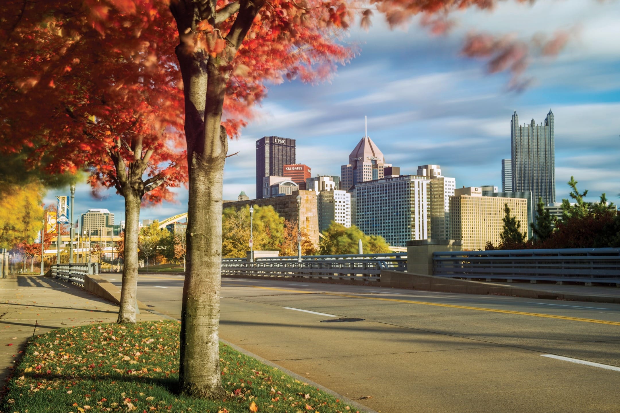 View of a city skyline with skyscrapers and colorful autumn trees lining an empty street.