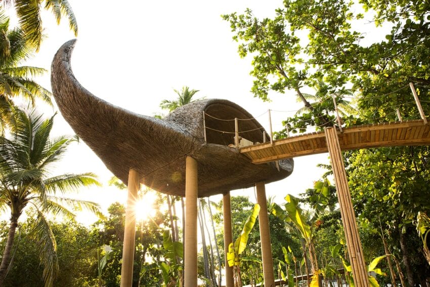 Treehouse shaped like a giant manta ray with a wooden bridge surrounded by lush tropical foliage and sunlight filtering through.