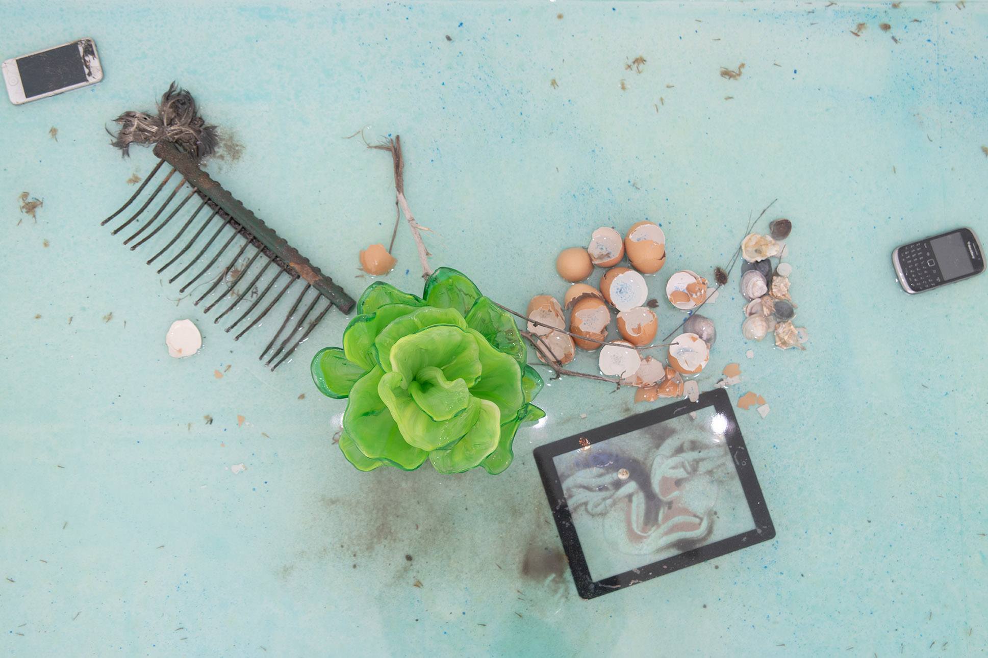 Assorted objects floating in a pool, including phones, a rake, eggshells, a green plant, and a tablet displaying an image.