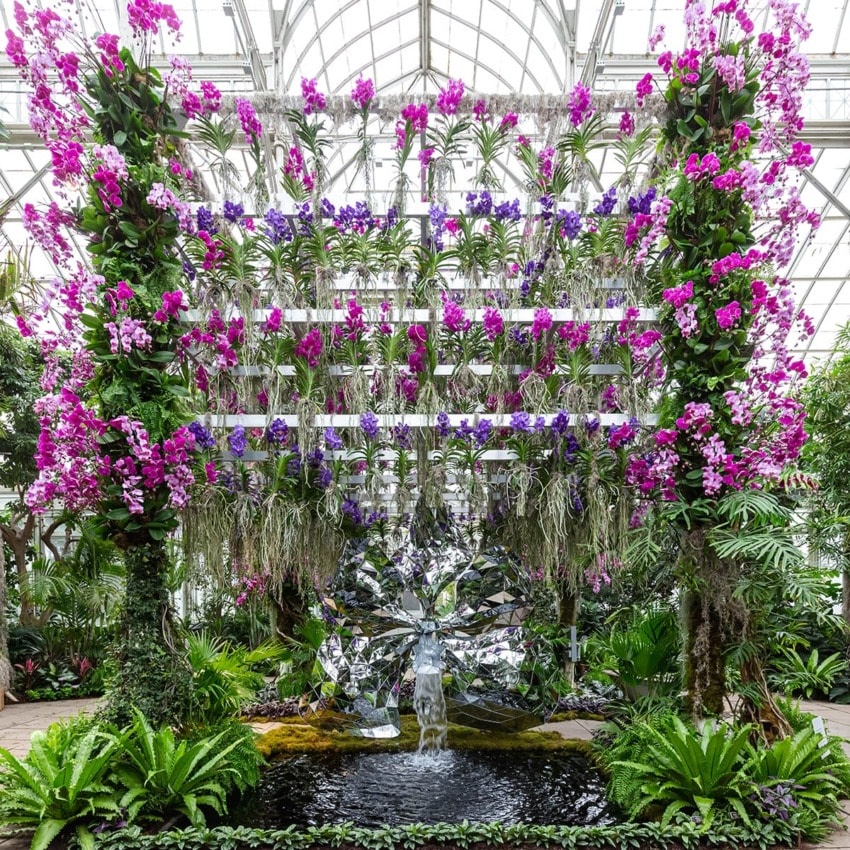 A lush indoor garden display with vibrant pink and purple orchids cascading over reflective structures.