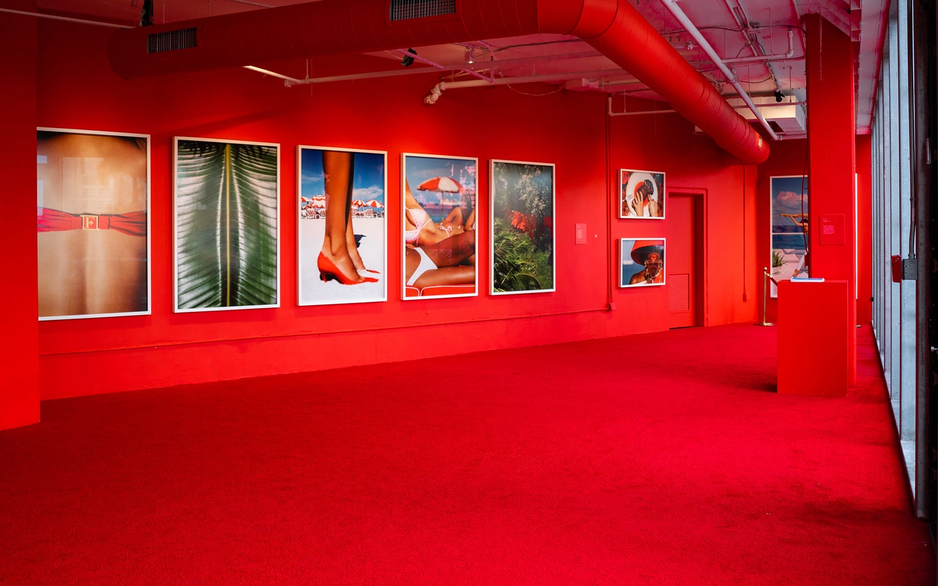 Art gallery with vibrant red walls and carpet, displaying large framed colorful photographs in a contemporary style.