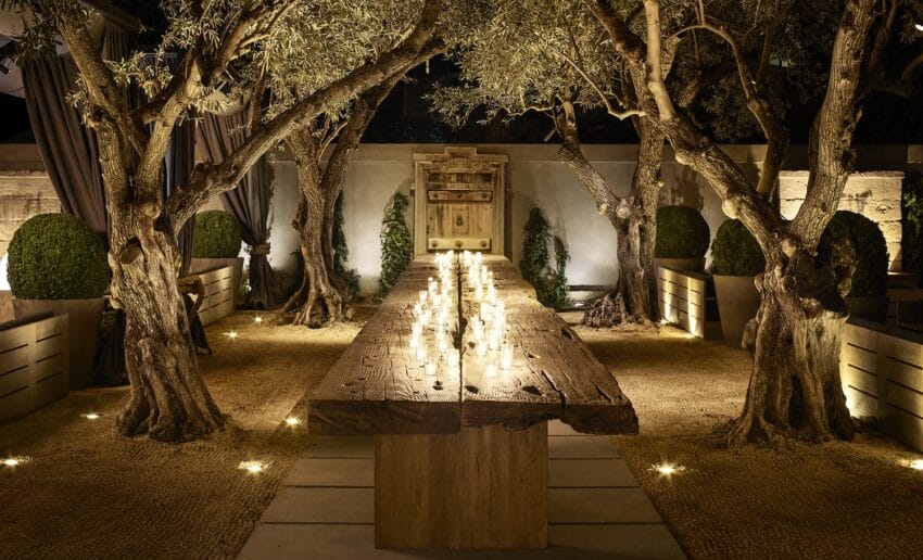 Outdoor dining setting with a long wooden table, surrounded by trees and ambient lighting.