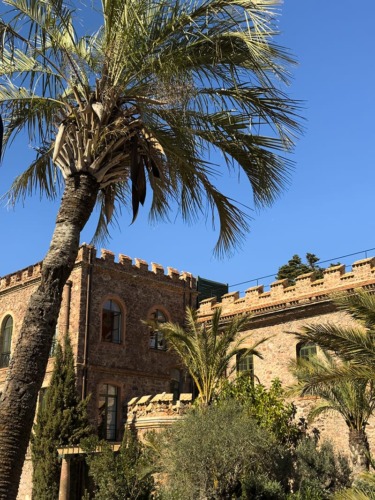 Historic building with palm tree under a clear blue sky, showcasing architectural details and lush greenery.