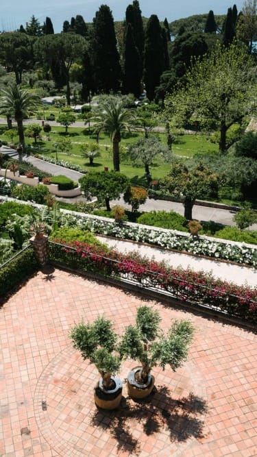 Terrace with potted trees overlooking a lush garden with pathways, palm trees, and distant view of a forest.