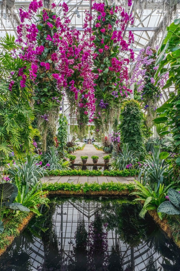 Orchid-filled greenhouse with vibrant pink and purple flowers, lush greenery, and reflecting water feature in the foreground.