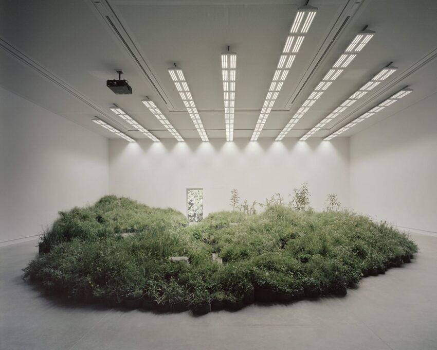 Modern art installation featuring a circular garden with lush grass and plants in a minimalist white gallery space.