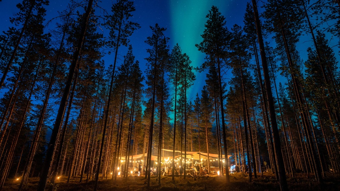 Forest cabin illuminated at night under a starry sky with the northern lights visible through tall trees.