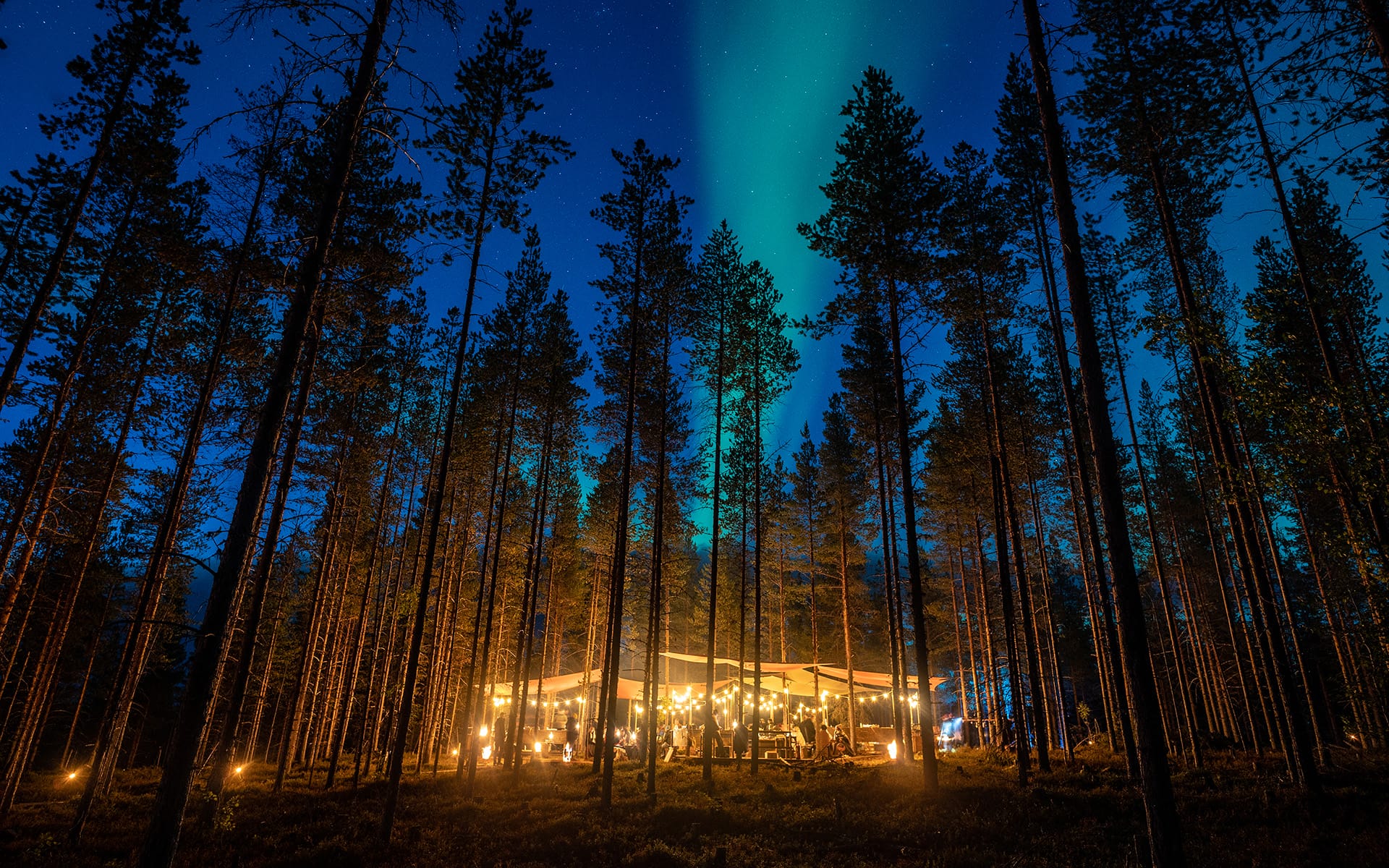 Forest cabin illuminated at night under a starry sky with the northern lights visible through tall trees.