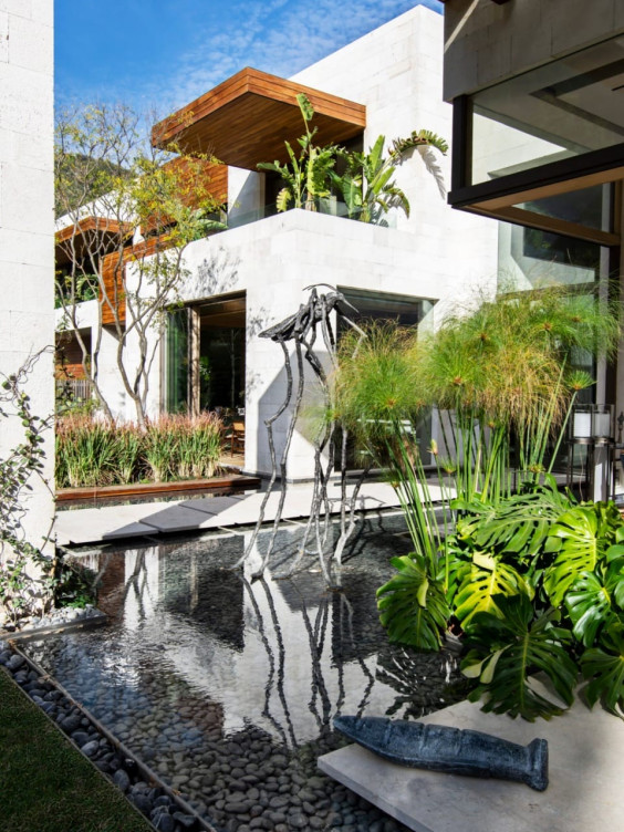 Modern house with lush greenery and a reflective water feature in the courtyard under a clear blue sky.