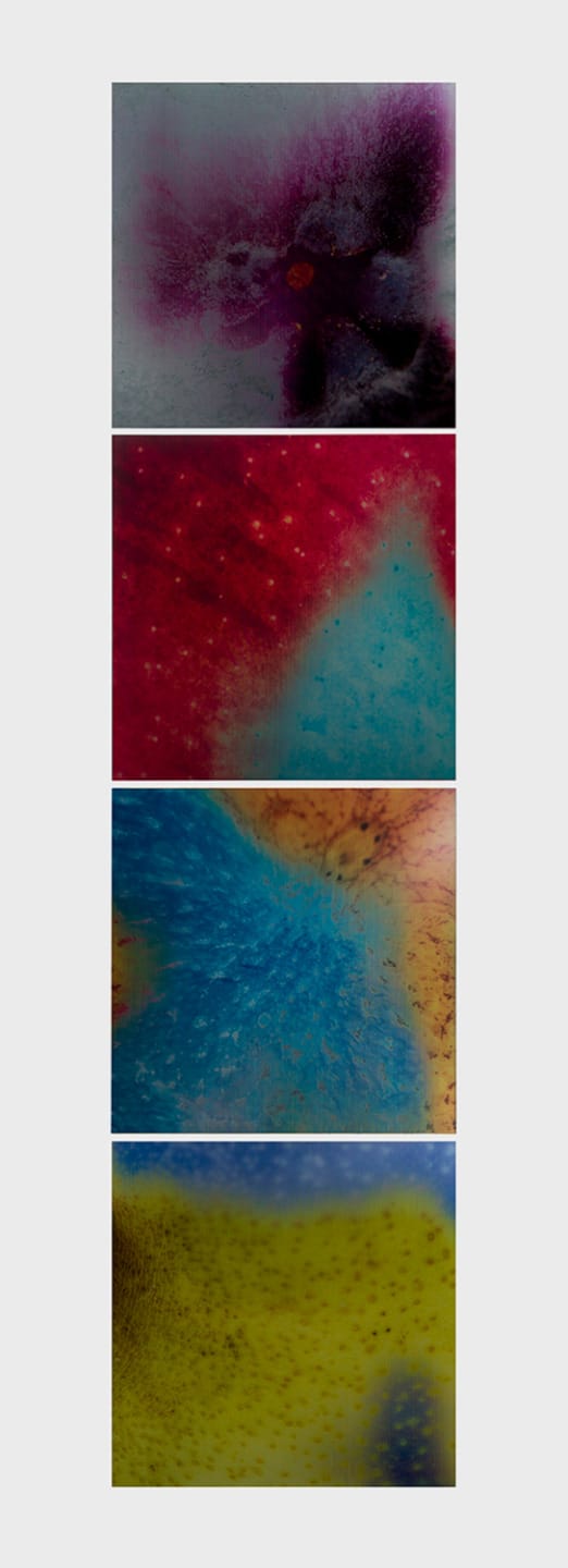 Abstract artwork with vibrant colors and textures, featuring blends of purple, red, blue, and yellow.