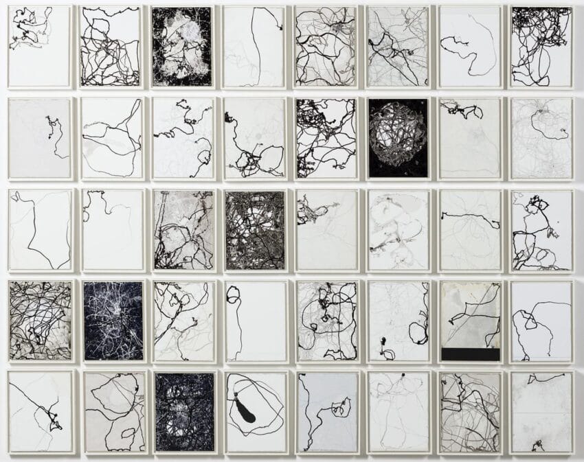 Collection of abstract black and white line art pieces arranged in a 5 by 8 grid on a white wall.