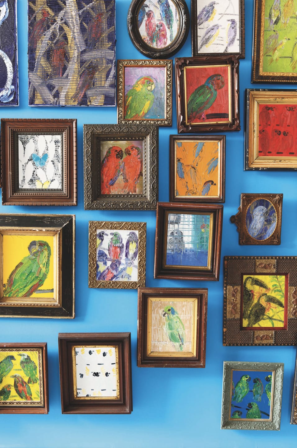 A collection of framed colorful bird paintings on a bright blue wall.