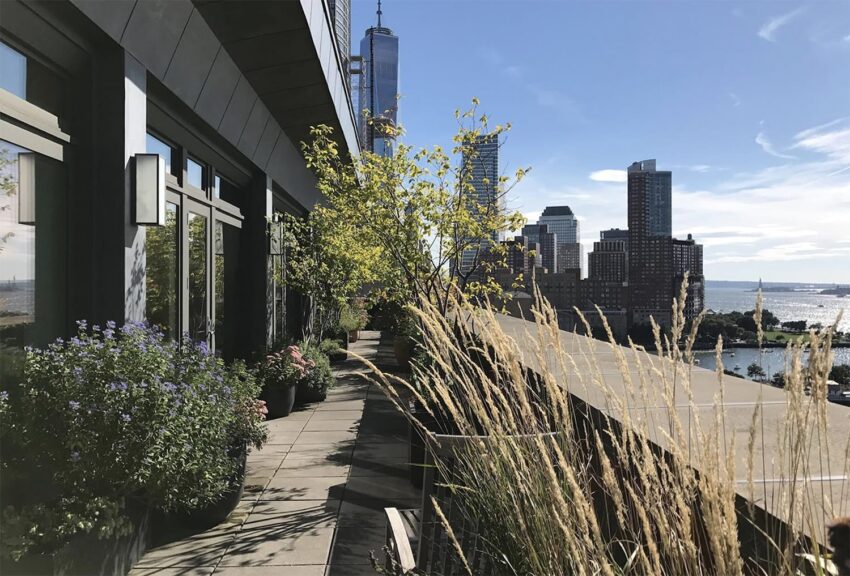 Sunny urban rooftop garden with plants and flowers, overlooking city skyline and river on a clear day.