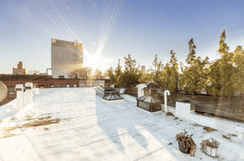 sunlit rooftop garden with plants and city skyline in the background