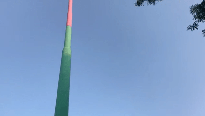 Tall green and red flagpole under clear blue sky with tree branches on the right side.
