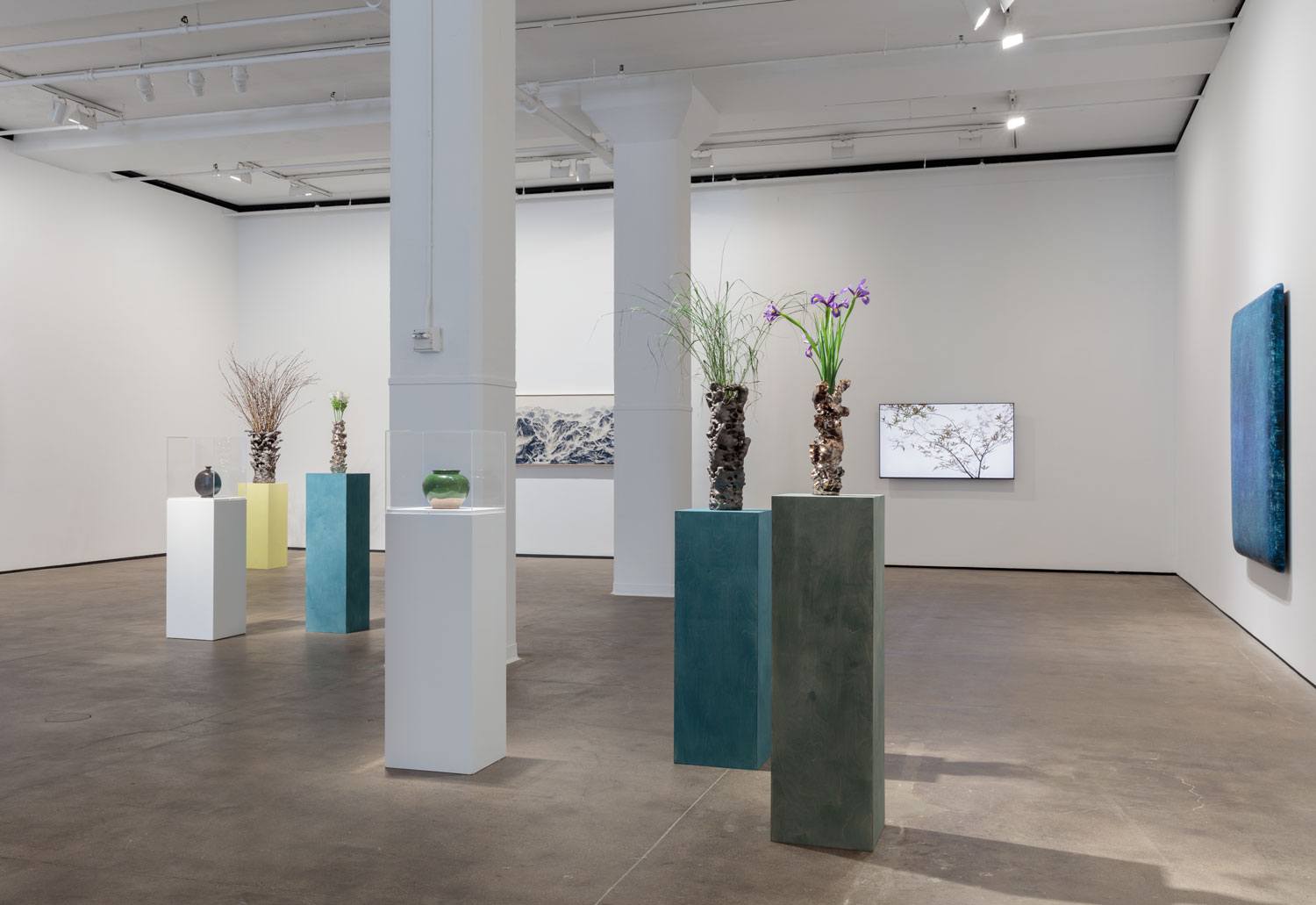 Contemporary art gallery showcasing minimalist floral sculptures on pedestals with framed artworks on white walls