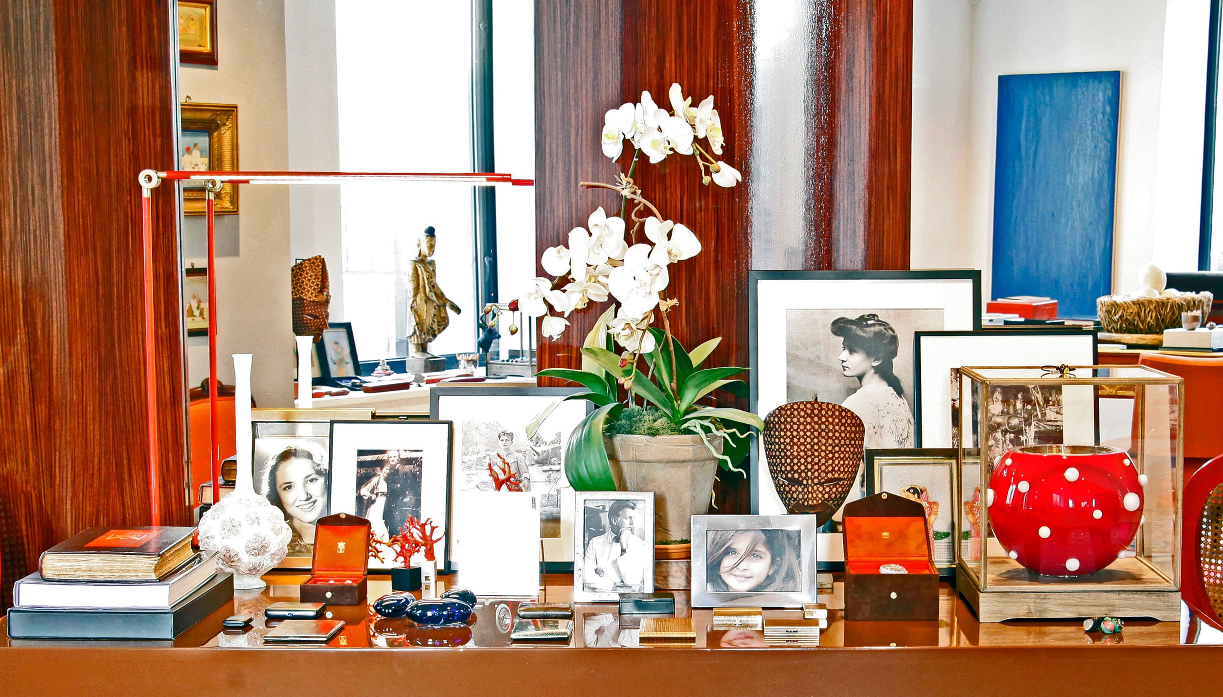 Orchid plant surrounded by framed photos and decorative items on a wooden table in a well-lit room.