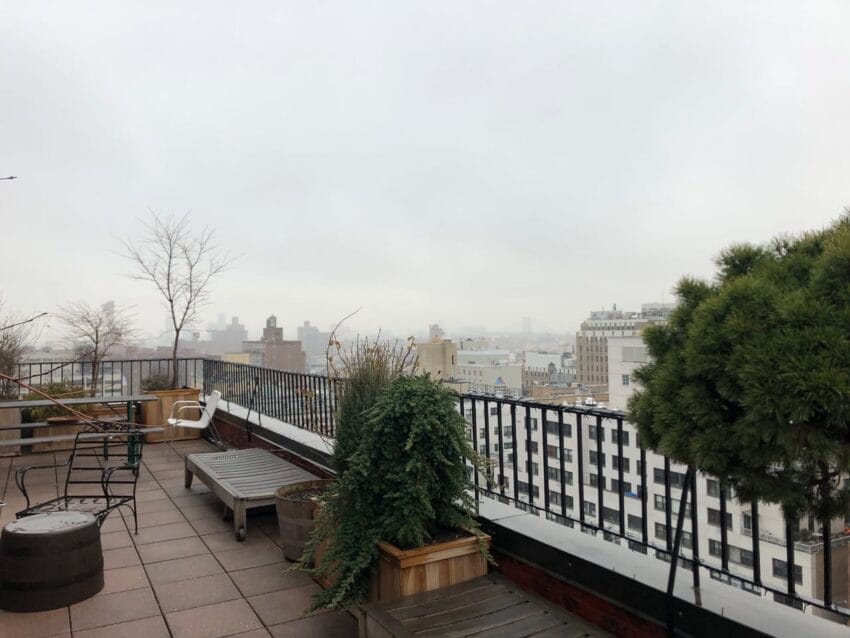 Rooftop patio with plants and seating overlooking a cityscape under a cloudy sky.