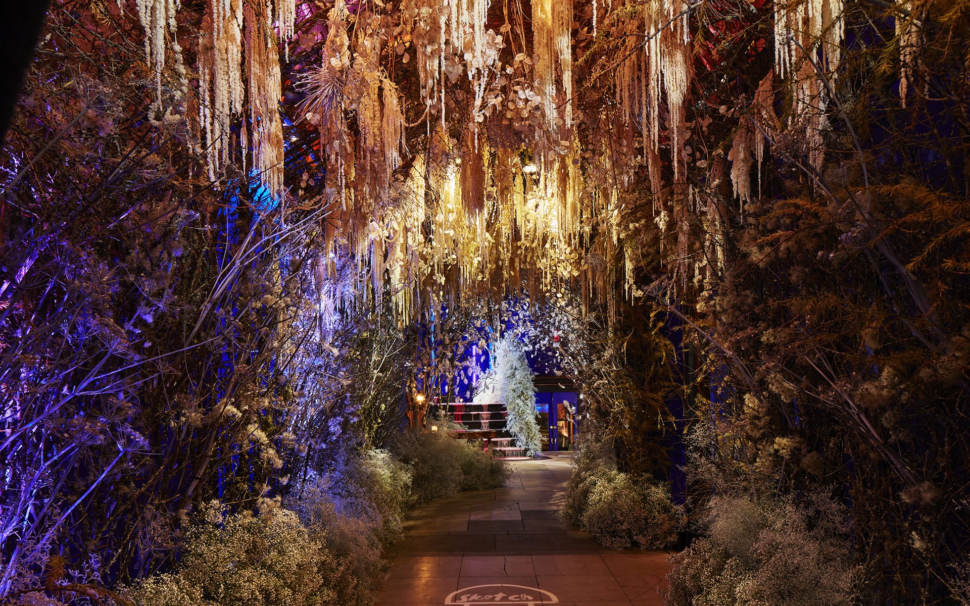 Enchanted pathway with hanging lights and dense foliage leads to a warmly lit interior space, creating a mystical ambiance.