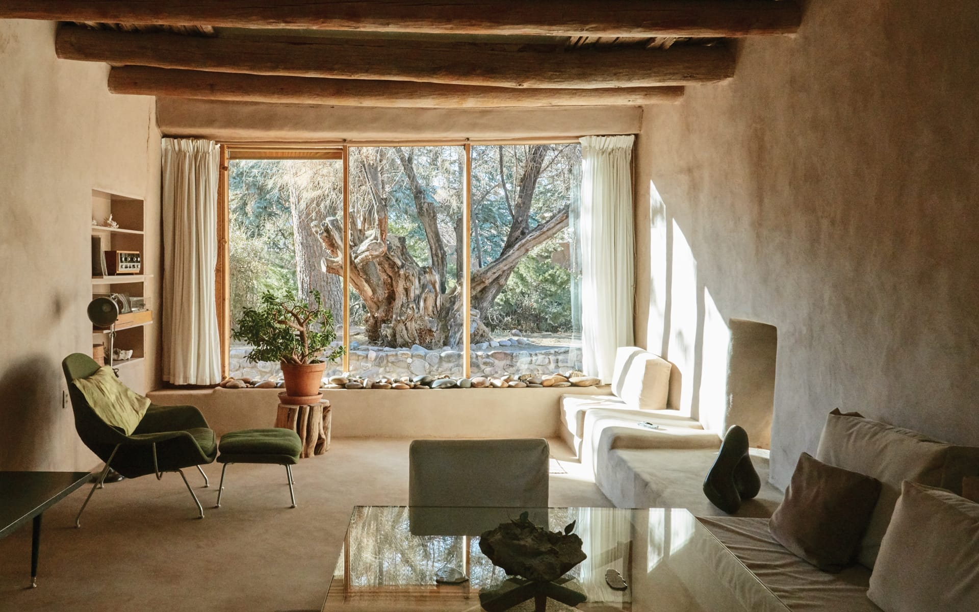 Georgia O'Keeffe Living Modern by Wanda M.Corn at General Store
