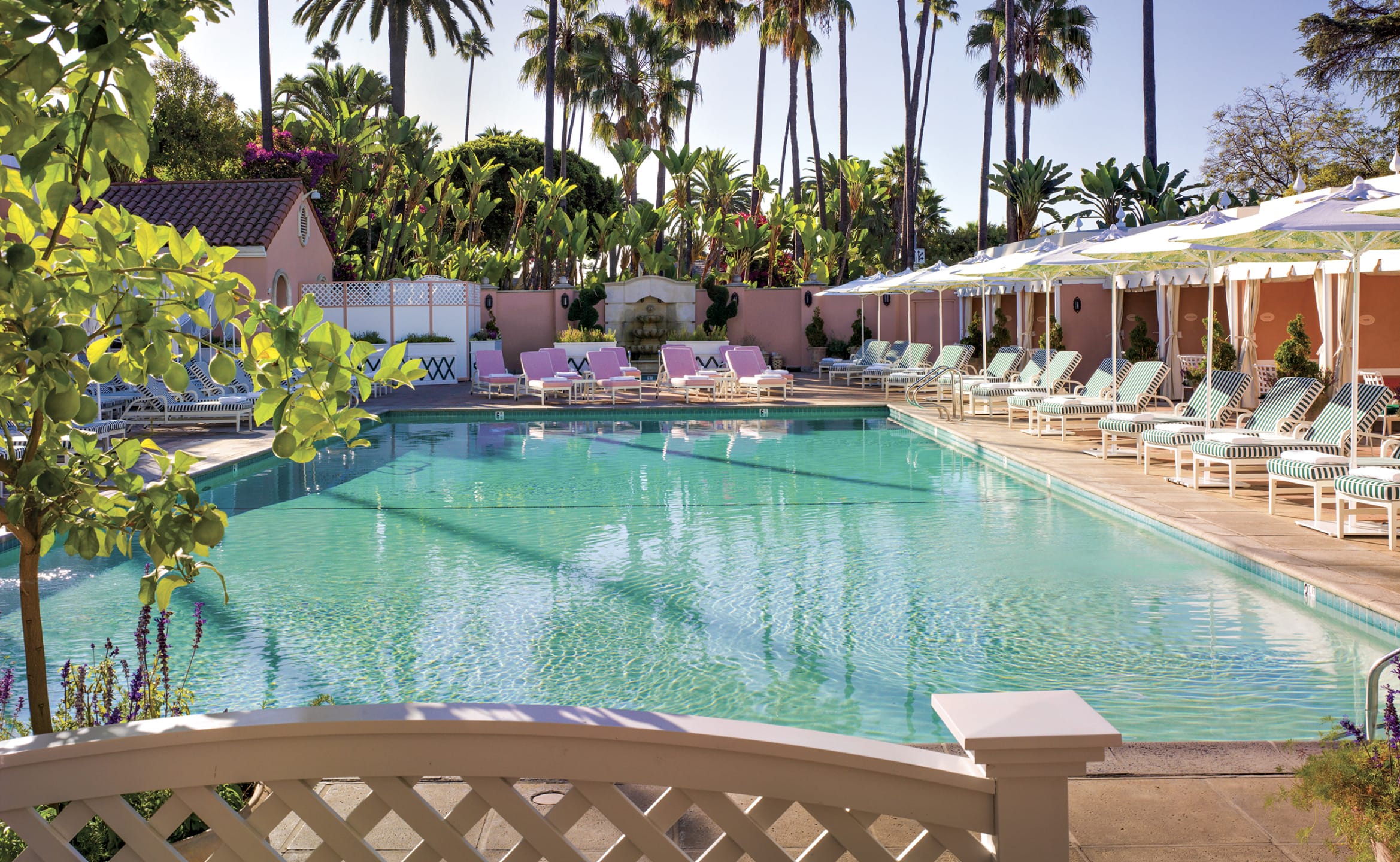 Outdoor pool surrounded by lounge chairs, umbrellas, and tall palm trees under a clear blue sky.