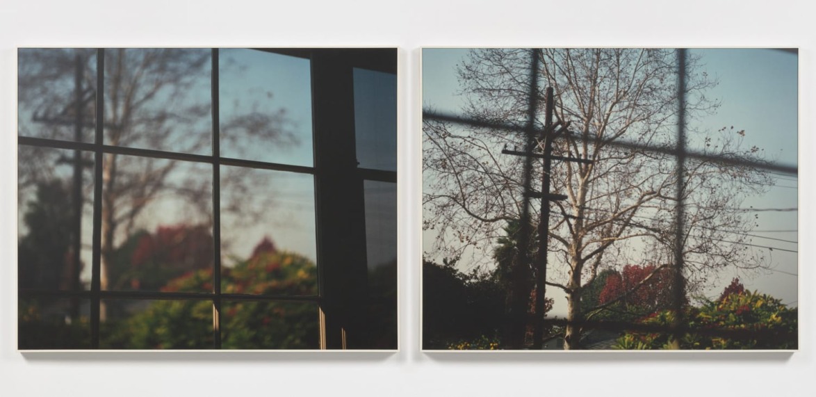 Diptych image showing blurred views through a window, with tree branches and foliage outside in dappled sunlight.