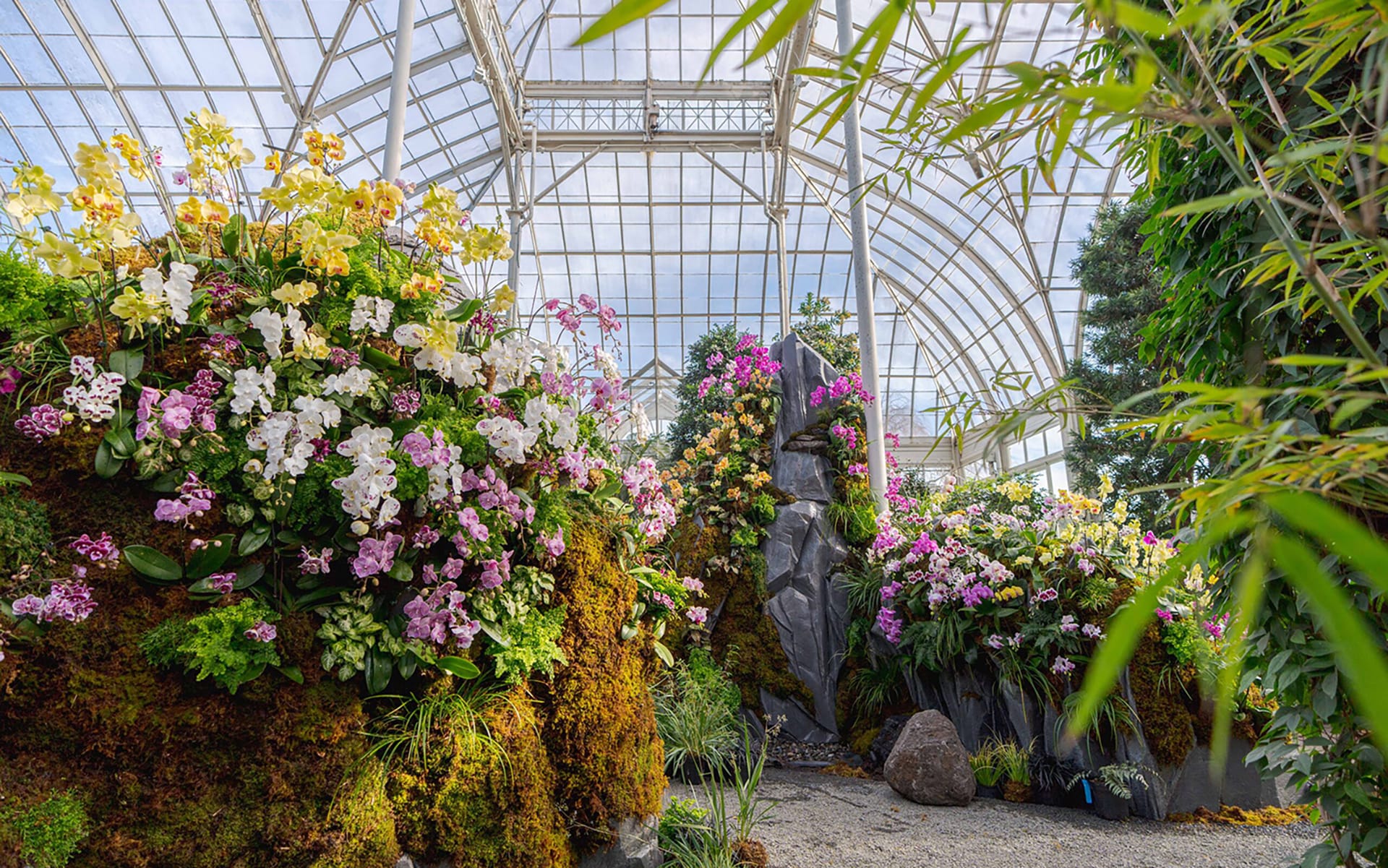 Botanical garden with vibrant orchids in various colors, displayed in a sunlit conservatory with glass ceiling and lush greenery.