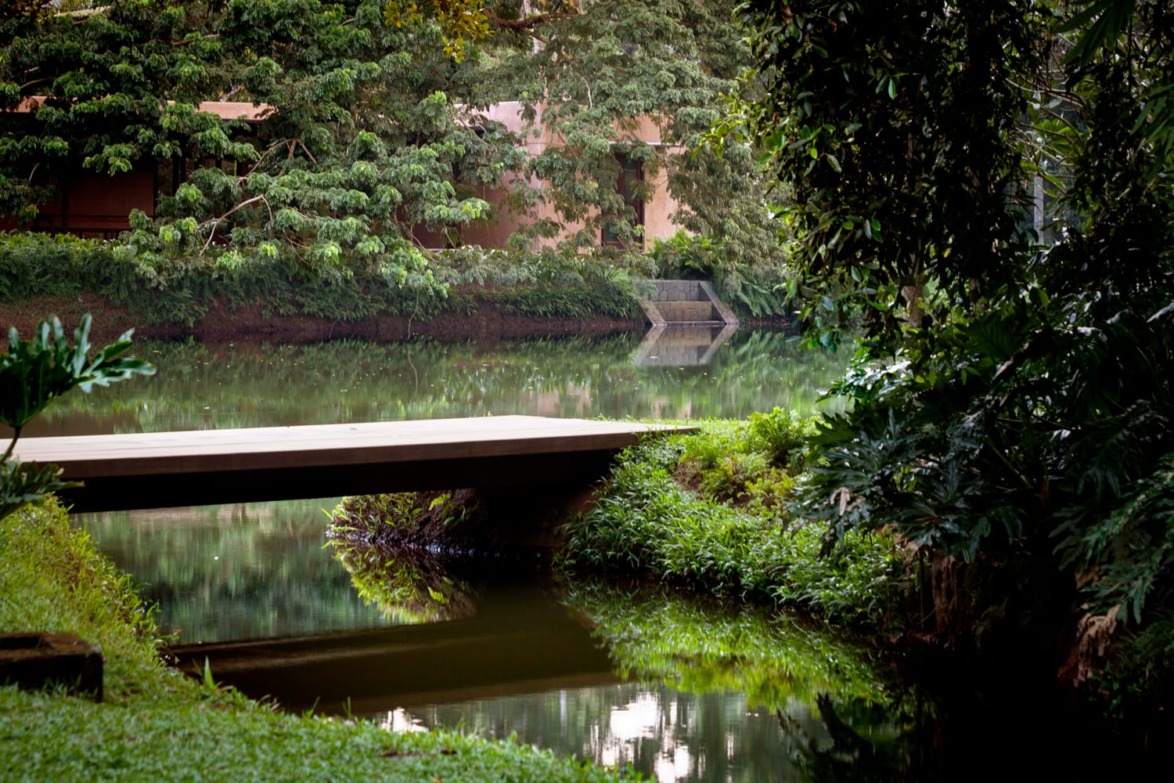 Serene view of a wooden bridge over a calm, reflective pond surrounded by lush green foliage and trees.