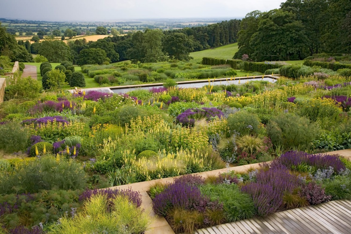Beautiful garden with diverse wildflowers, a pond, and scenic countryside view in the background.