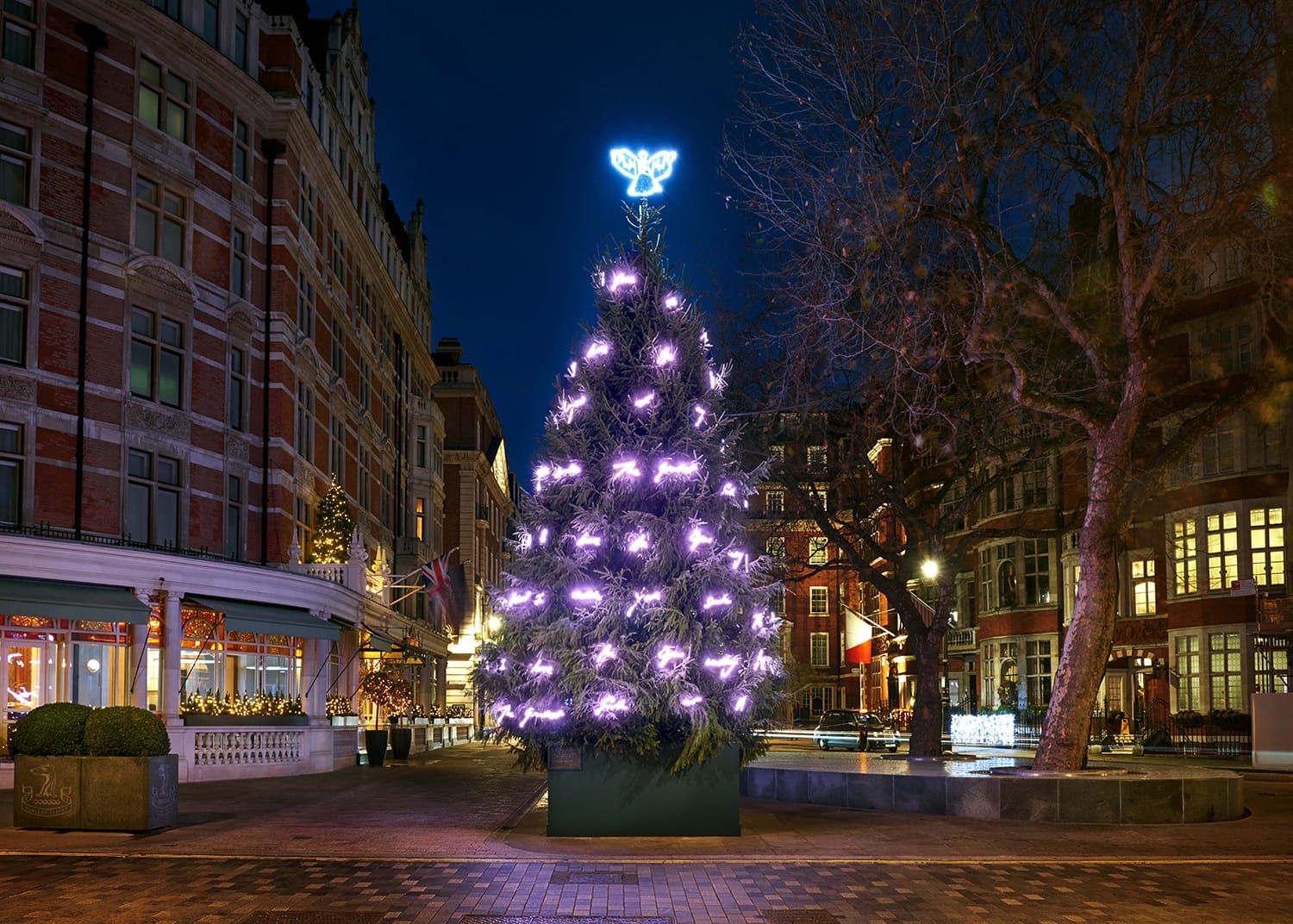 Illuminated Christmas tree with purple lights in a city square at night, surrounded by buildings and bare trees.