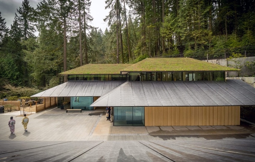 Modern building with green roofs surrounded by tall trees in a forest setting, viewed from an elevated angle.