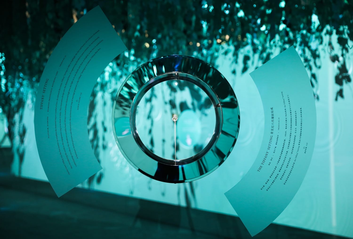 Circular reflective object with text and abstract design, set against a backdrop of green foliage and soft lighting.