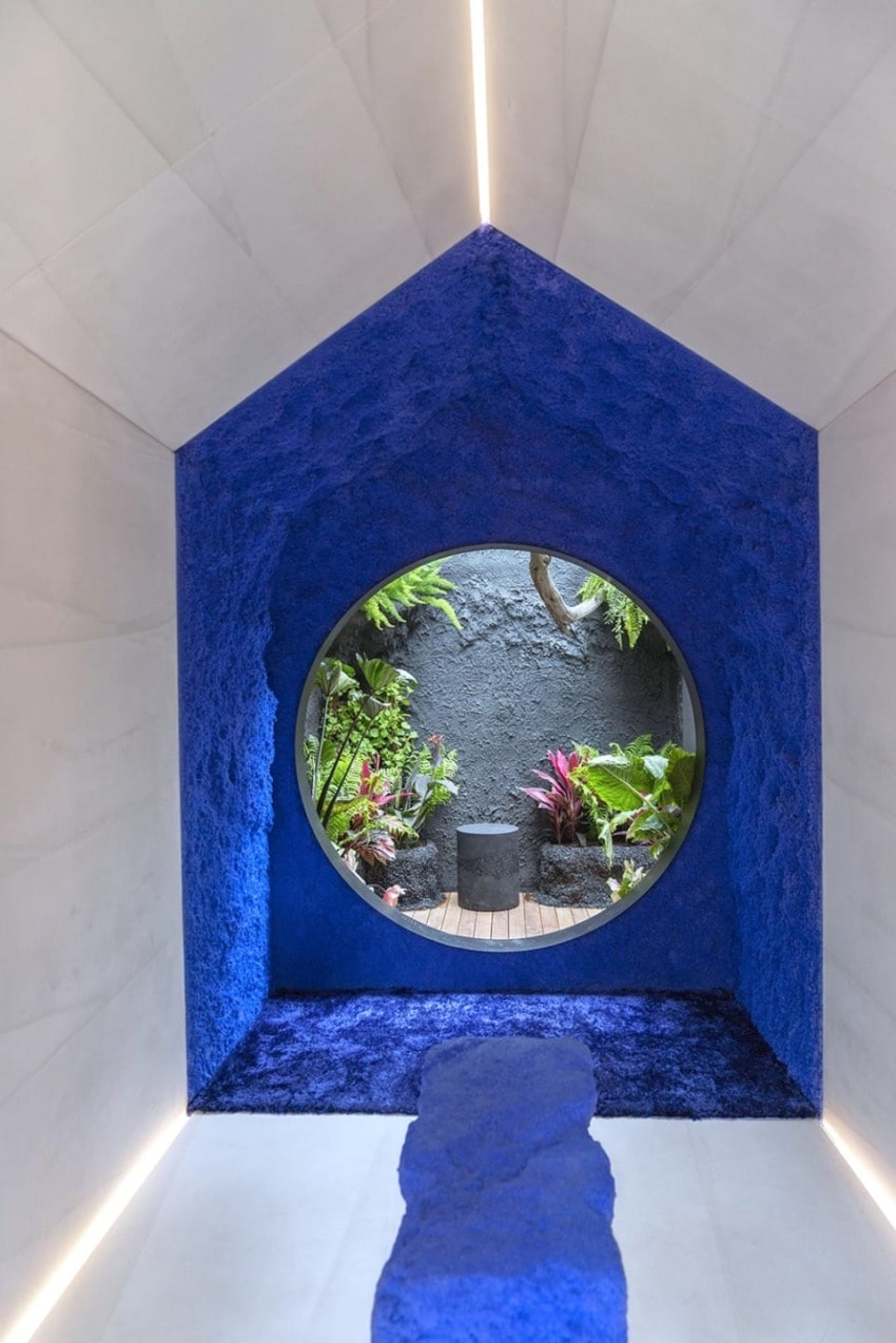 Modern interior with vivid blue walls, circular window, and view of lush garden with various plants.