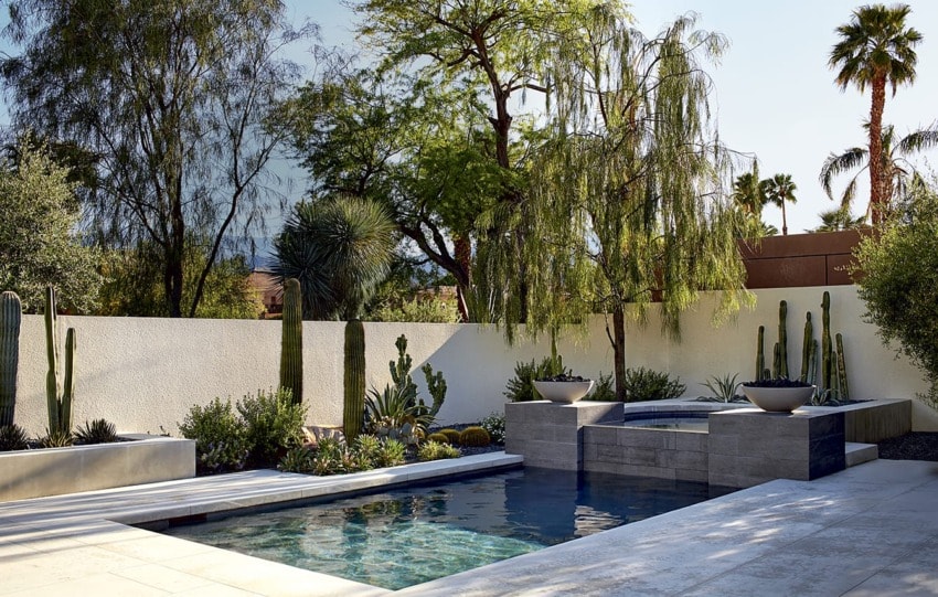 Modern backyard with a small pool, surrounded by desert plants and a concrete patio, under a clear blue sky.